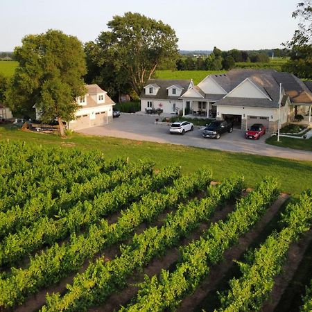 Villa In The Vines Niagara-on-the-Lake Exterior foto