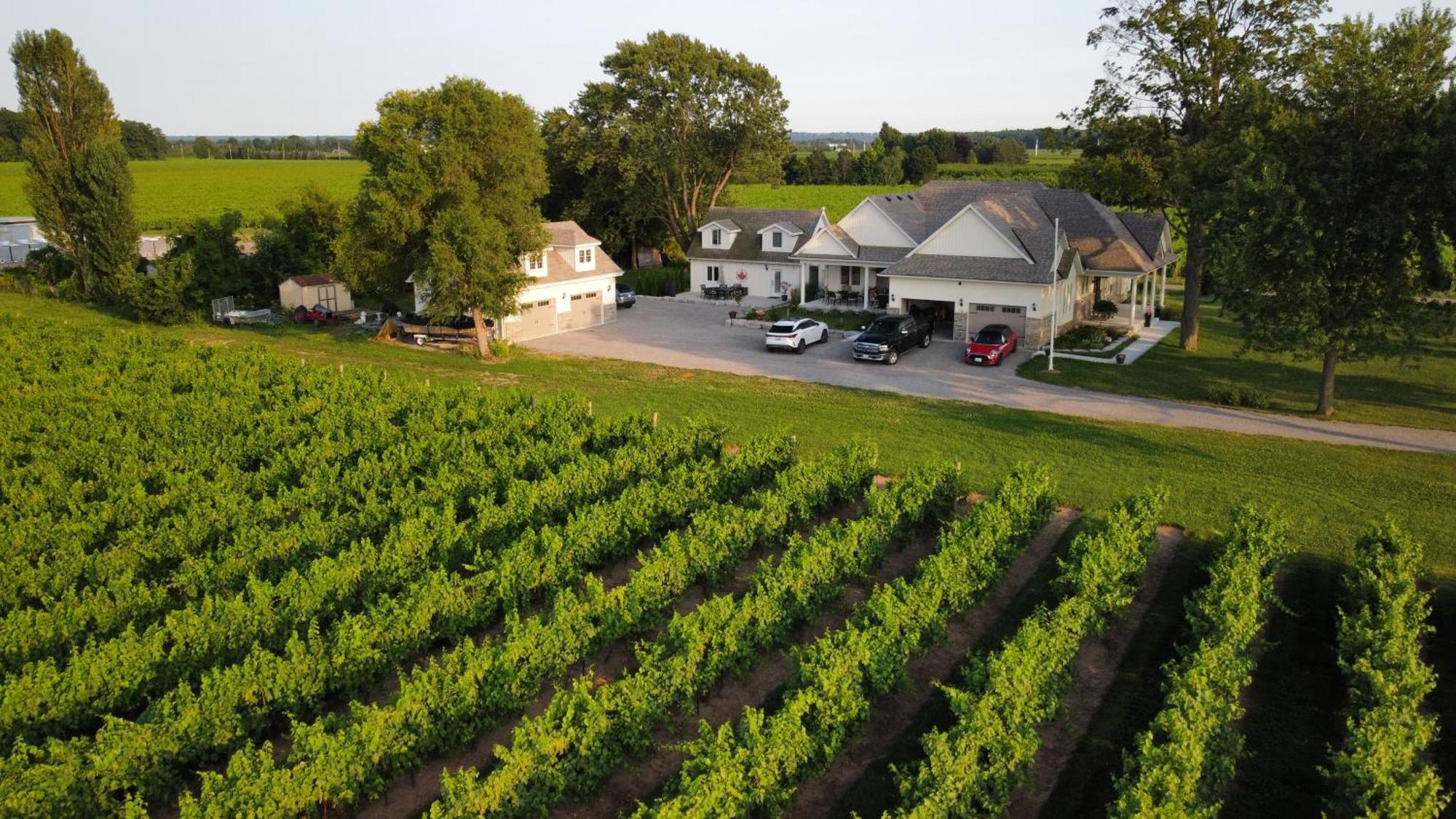 Villa In The Vines Niagara-on-the-Lake Exterior foto